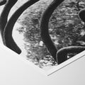 Abstract Curves - Skew'd