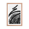 Abstract Curves - Skew'd