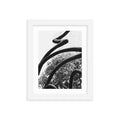 Abstract Curves - Skew'd