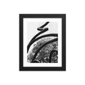 Abstract Curves - Skew'd
