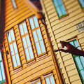 Bergen Whimsy - Skew'd
