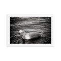 Graceful Waters - Skew'd