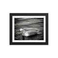 Graceful Waters - Skew'd