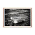 Graceful Waters - Skew'd