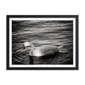 Graceful Waters - Skew'd