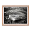 Graceful Waters - Skew'd