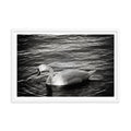 Graceful Waters - Skew'd