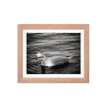 Graceful Waters - Skew'd