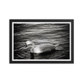 Graceful Waters - Skew'd