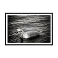 Graceful Waters - Skew'd