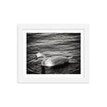 Graceful Waters - Skew'd