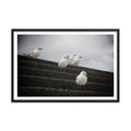 Gull Squad - Skew'd