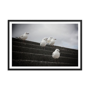 Gull Squad - Skew'd