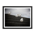 Gull Squad - Skew'd
