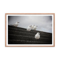 Gull Squad - Skew'd
