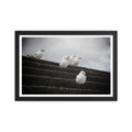 Gull Squad - Skew'd