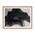 Parisian Elegance - Skew'd