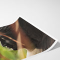 Serene Reflection - Skew'd