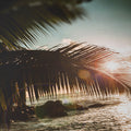 Tropical Twilight - Skew'd