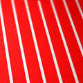 WOW (RED) - Skew'd